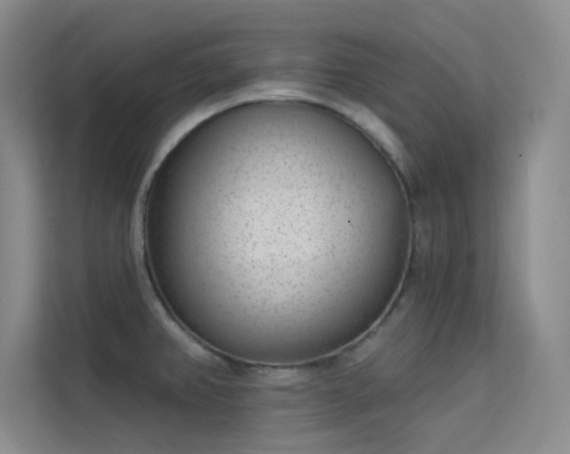 X0000113631382200909251212