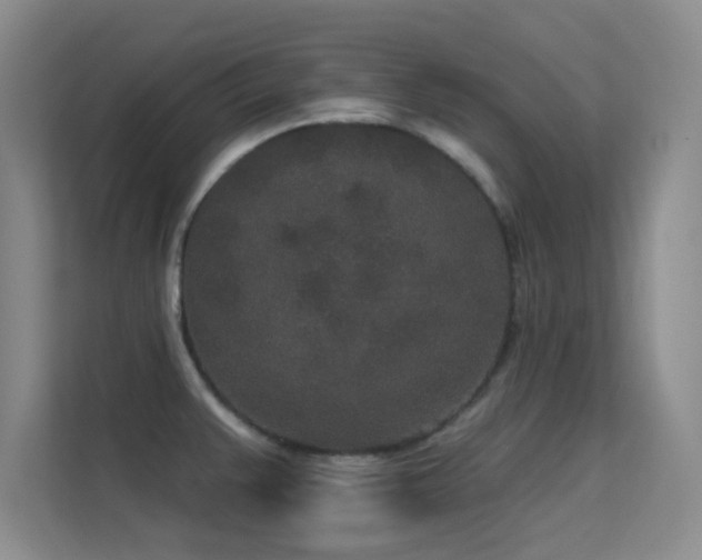 X0000113631383200909251212