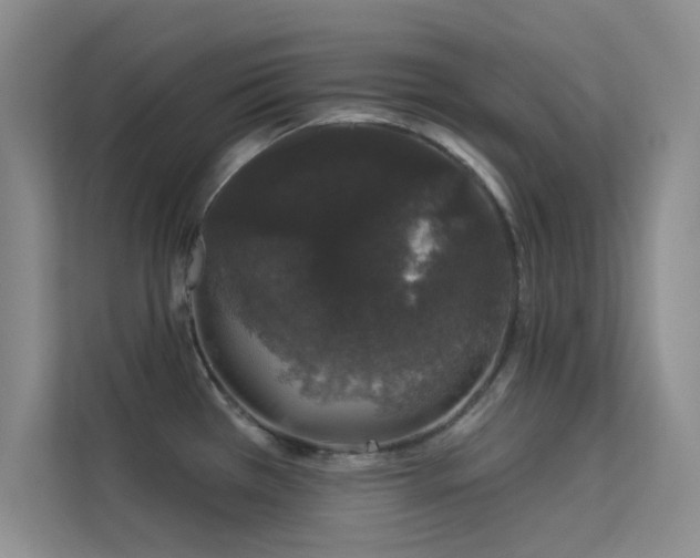 X0000113631385200909251212