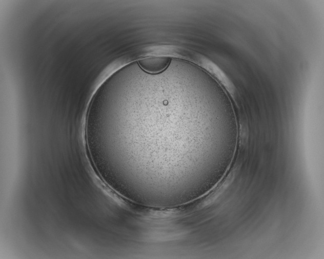 X0000113631386200909251212