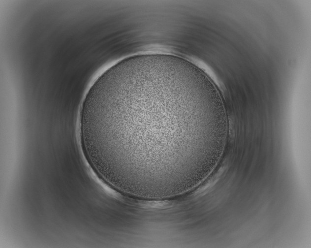 X0000113631387200909251212