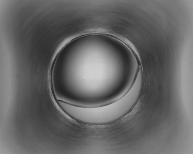 X0000113631389200909251212