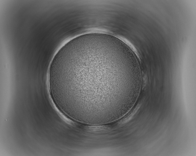 X0000113631391200909251211