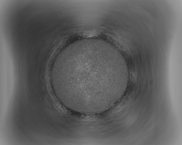 X0000113631393200909251211