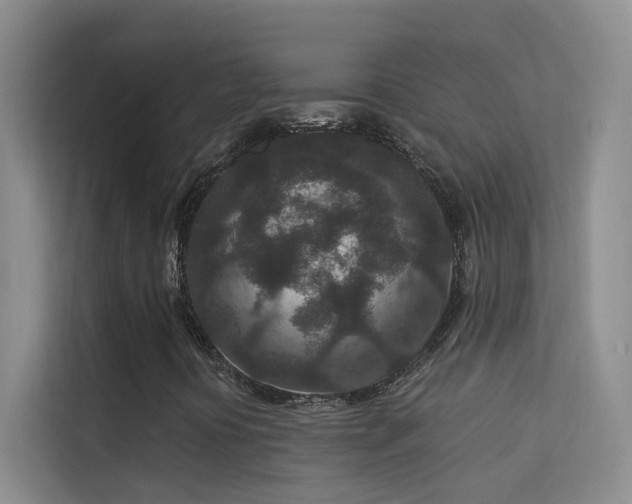 X0000113631394200909251211