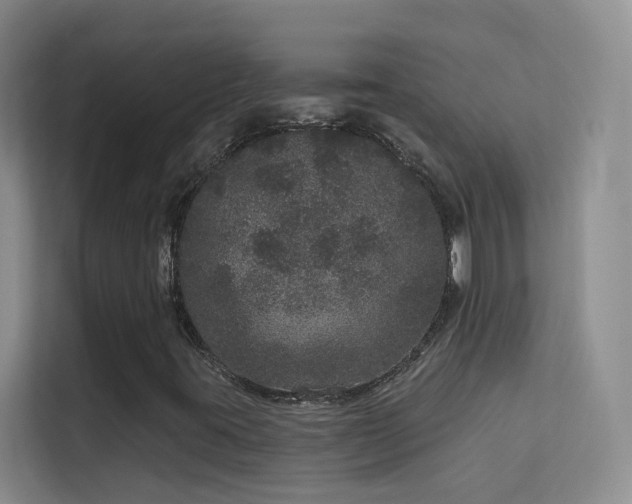 X0000113631395200909251211