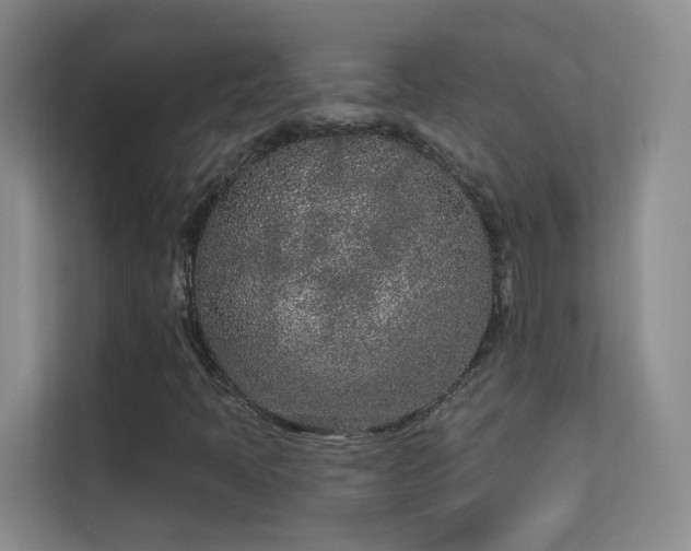 X0000113631397200909251211