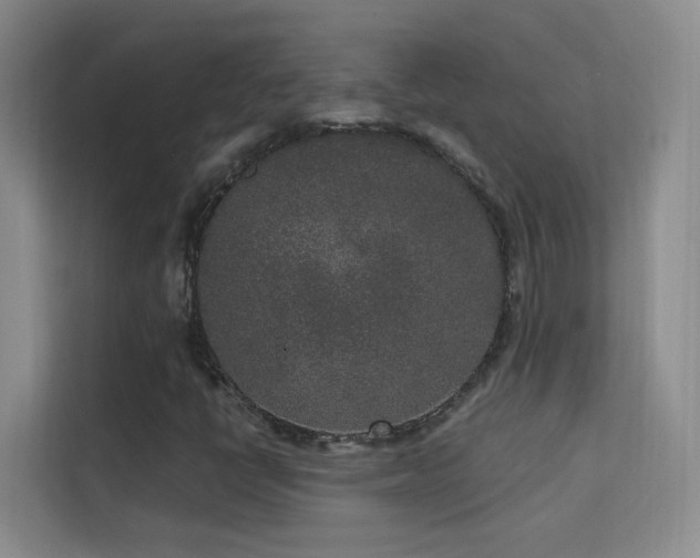 X0000113631398200909251211