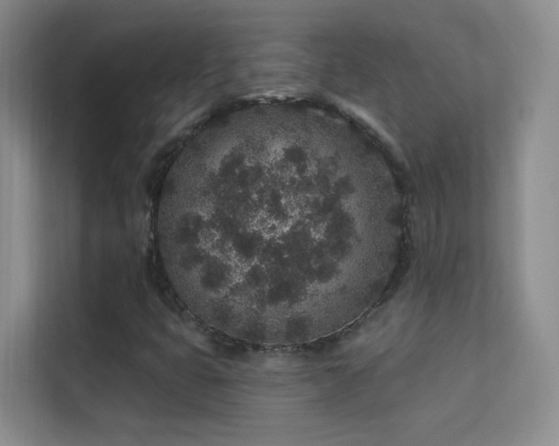 X0000113631399200909251211