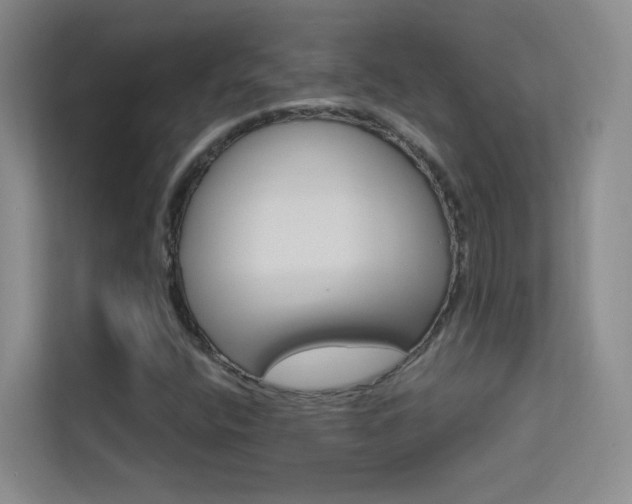 X0000113631400200909251211
