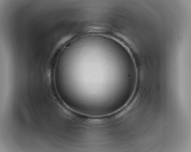 X0000113631402200909251211