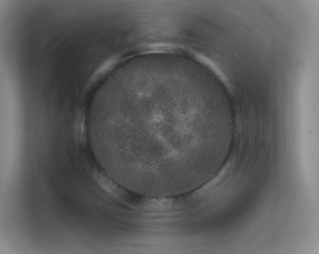 X0000113631403200909251211