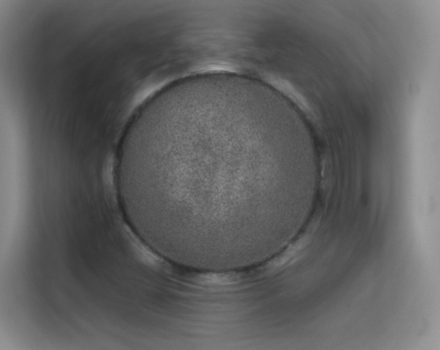 X0000113631404200909251211