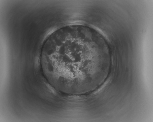 X0000113631405200909251211