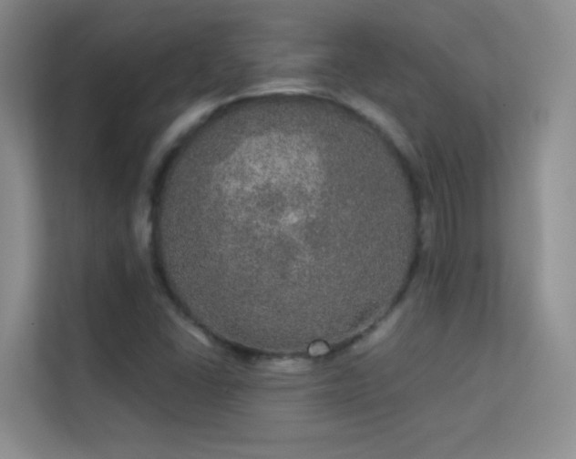 X0000113631406200909251211