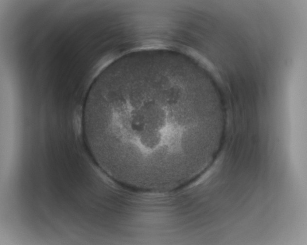 X0000113631409200909251211