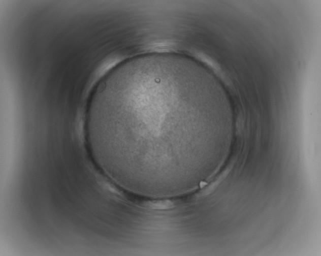 X0000113631410200909251211