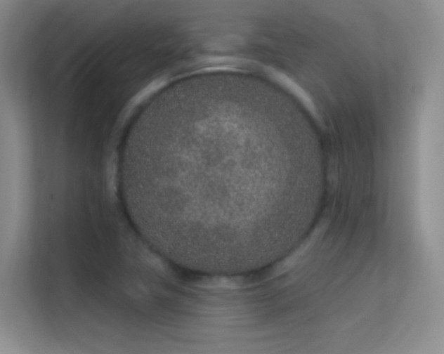 X0000113631411200909251211