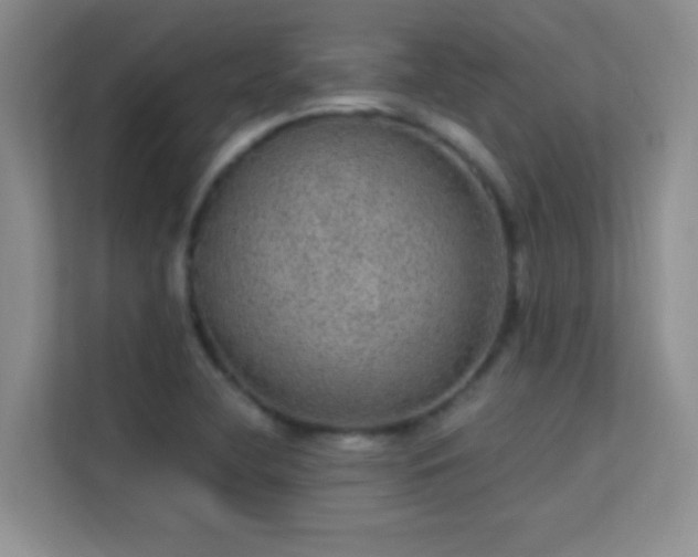 X0000113631412200909251211