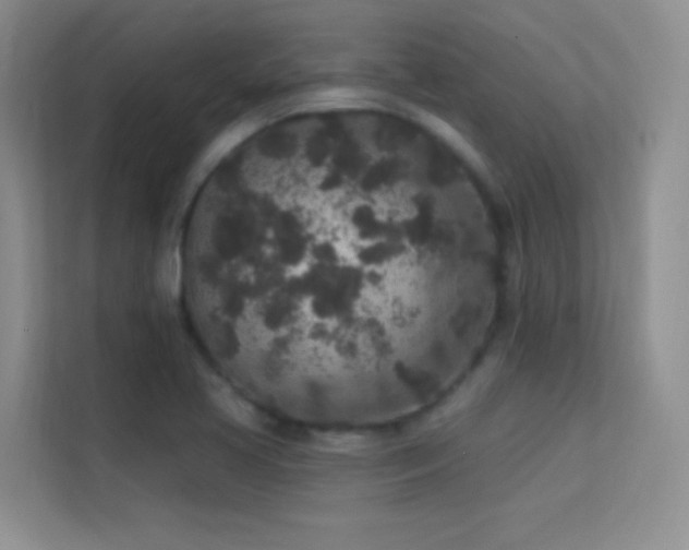 X0000113631413200909251211
