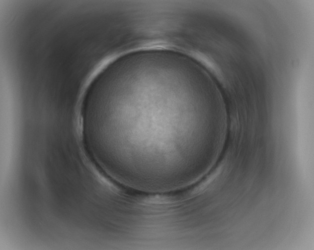 X0000113631414200909251211