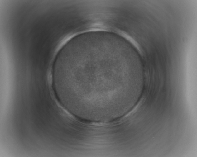 X0000113631415200909251211