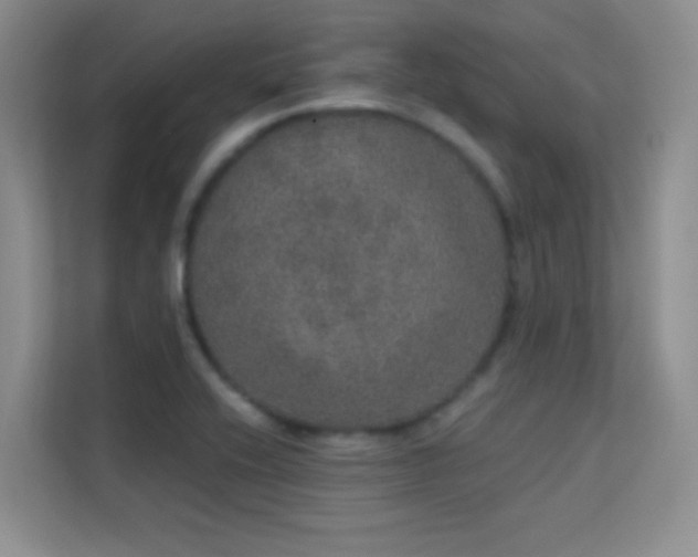 X0000113631416200909251211