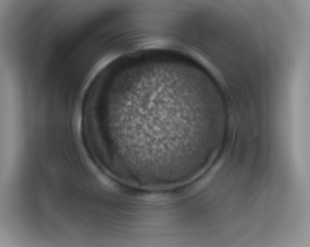 X0000113631418200909251211