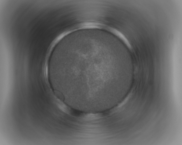 X0000113631419200909251211