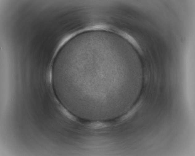 X0000113631420200909251211