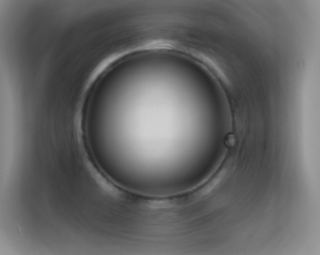 X0000113631422200909251211
