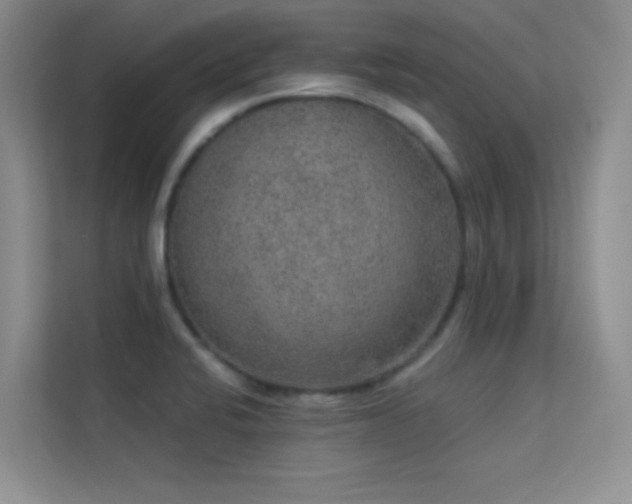 X0000113631424200909251211