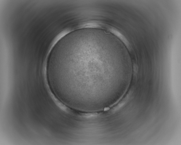 X0000113631426200909251211