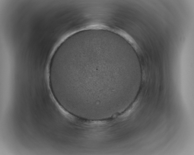 X0000113631430200909251211