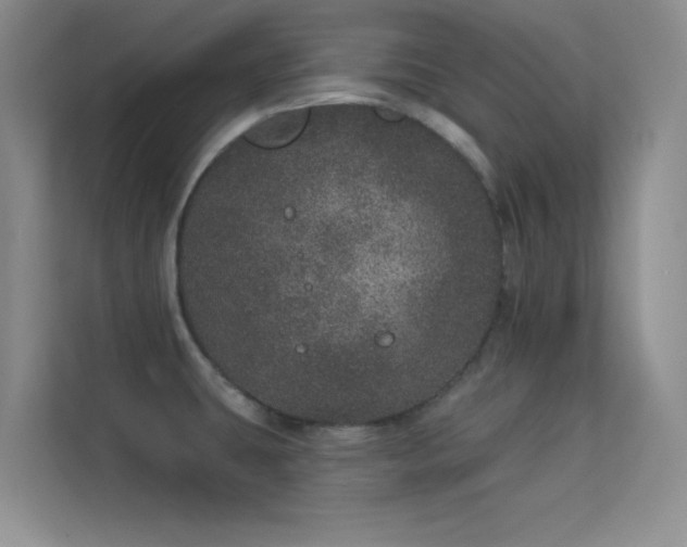 X0000113631431200909251211