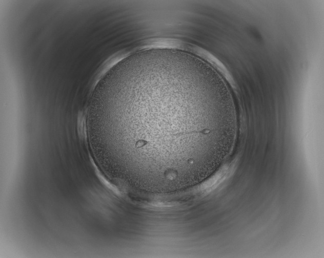 X0000113631433200909251211