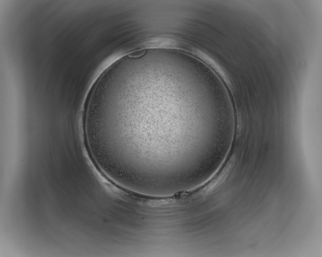 X0000113631434200909251211