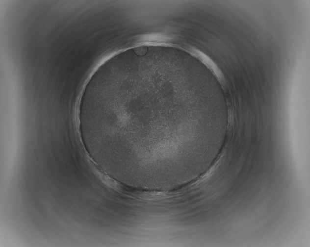 X0000113631435200909251211