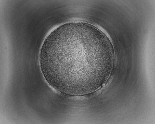 X0000113631437200909251211