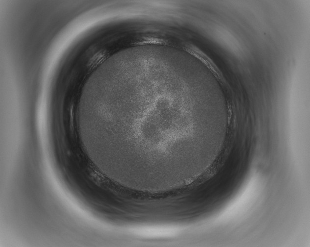 X0000113631439200909251211