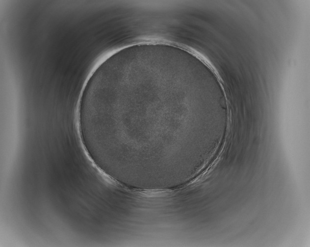 X0000113631440200909251211