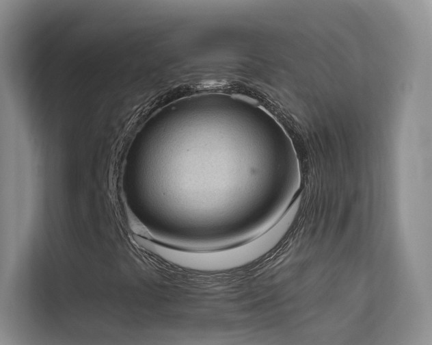 X0000113631441200909251211