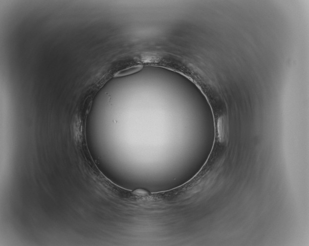 X0000113631443200909251211