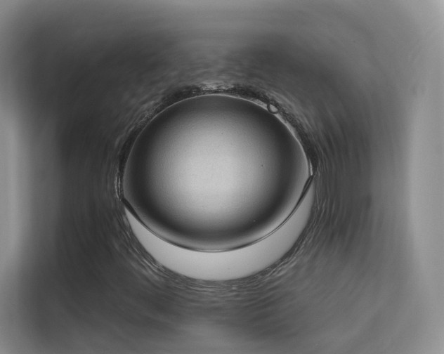 X0000113631444200909251211