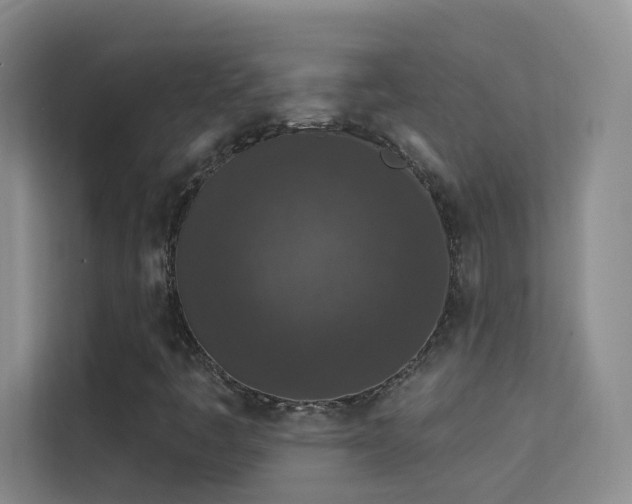 X0000113631445200909251211