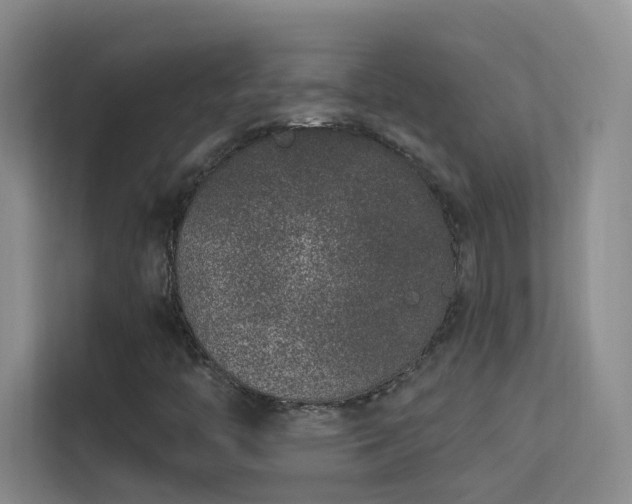 X0000113631446200909251211