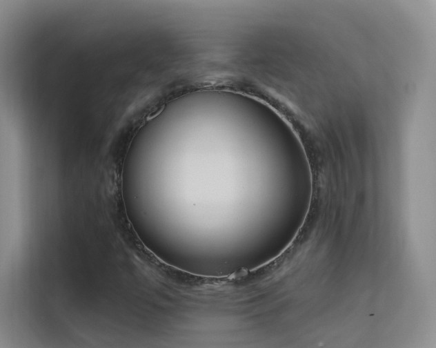 X0000113631447200909251211