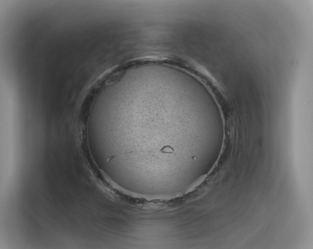 X0000113631448200909251211