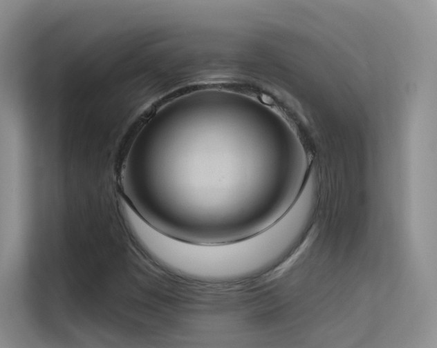 X0000113631449200909251211