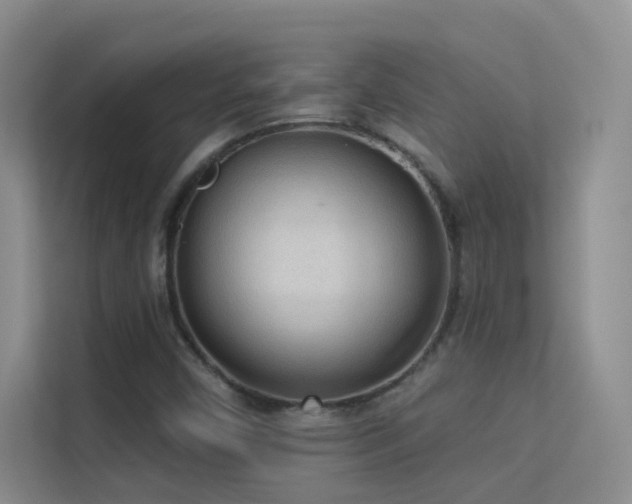 X0000113631450200909251211